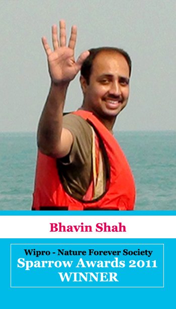 bhavin shah