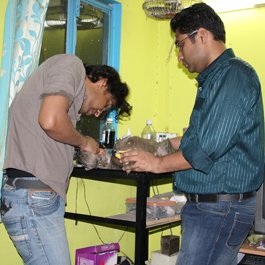 nadeem and mohammed